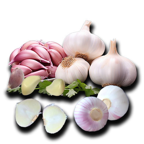 ��˾��(ji��n)��